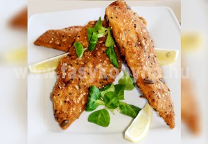 Hekkfilé magvas bundában