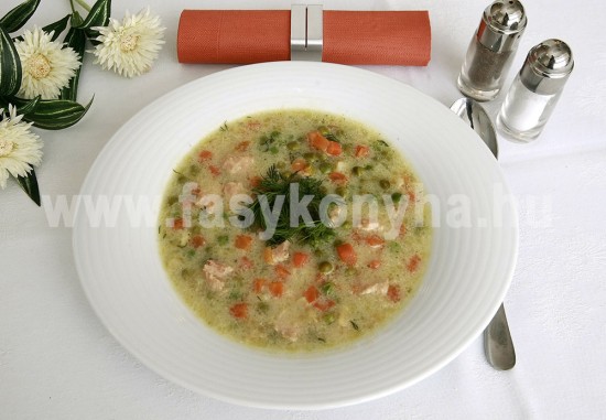 leves Kapros pulyka raguleves 